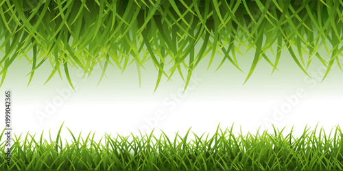 Green Grass Border Vector with Lawn, Meadow and Natural Garden Landscape Elements