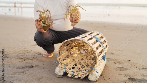 Schilderij op canvas fisherman caught two spiny lobsters using a traditional bamboo pot or trap in ba