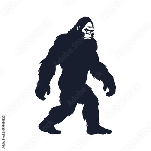 Full body silhouette of Bigfoot or Sasquatch walking isolated on a white background. Factual illustration of the legendary cryptid creature with hairy fur and a muscular build.