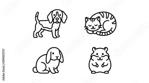 Cute dog cat rabbit hamster animals.