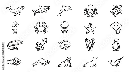 Marine animals illustrations set.