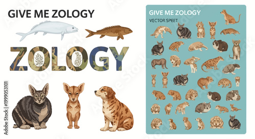 Zoology study sheets display various mammals and pets for school.