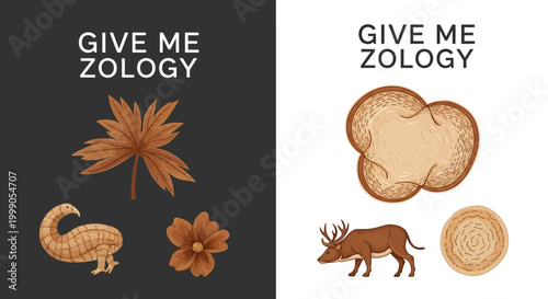 Nature elements shown in this botanical and zoological collection sheet.