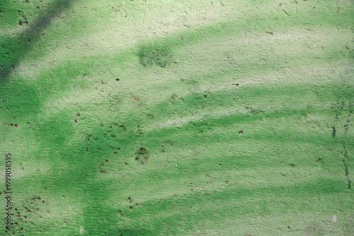 Fotografi green grunge background
