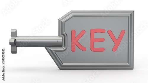 Grey Key. Isolated. White background. 3D render