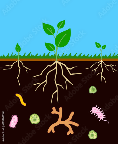 Various microorganisms in garden soil. Ground cutaway with bacteria and the root system of plants. Important microbes living in soil. Organic vegetable concept.
