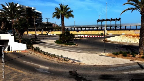 Sunny urban landscape with palm tree at a roundabout near modern city architecture