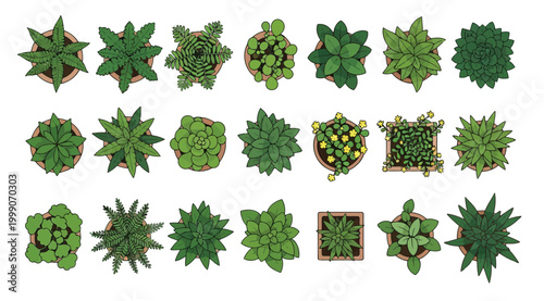 Set of various potted plants top view