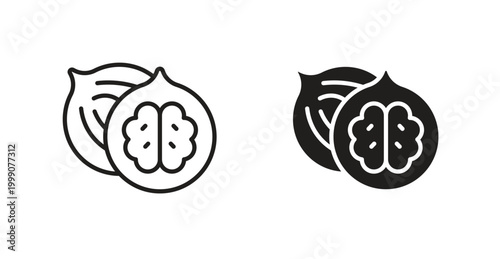 Walnut icon for web design. icon symbol vector