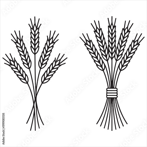 Contrast of wheat sheaves: loose and bundled