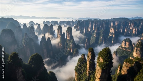 Nature - Zhangjiajie Sandstone Pillar Peaks Rising Through Misty Morning Clouds in Hunan China Forest Landscape