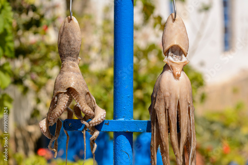 Drying octopus on the street. Sifnos island, Cyclades, Greece