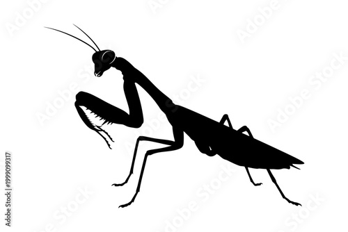 Black and white illustration of a praying mantis in a dynamic pose with detailed insect anatomy editable vector silhouette