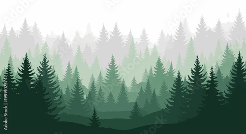 Lush Green Pine Forest Landscape with Misty Atmosphere.