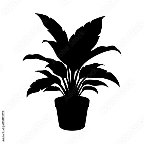 Black silhouette of a houseplant in a pot isolated on white background