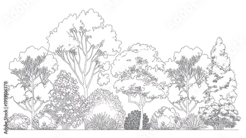 Obraz Trees and bushes in elevation view for use in architectural drawings 