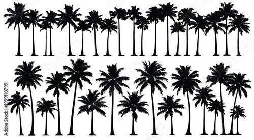 Set of black silhouettes of tropical palm trees