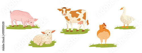 Domestic livestock illustration pack featuring cow, pig, chicken, sheep and goose, rural farm animal characters for agriculture and food production design