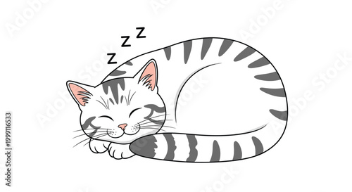 Adorable grey and white striped tabby cat sleeping peacefully in a curled position with tiny zzz symbols above its head.