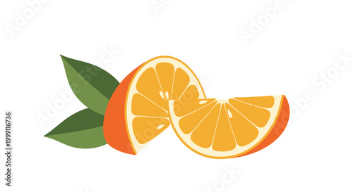 Refreshing orange slices and a partial whole fruit with vibrant green leaves are arranged together in a healthy citrus display.