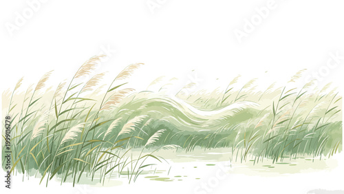 Watercolor Illustration of Wind-Swept Reed Beds Along a Calm Waterside, Soft Green Tones Depicting Gentle Breeze Moving Through Coastal Wetland Vegetation