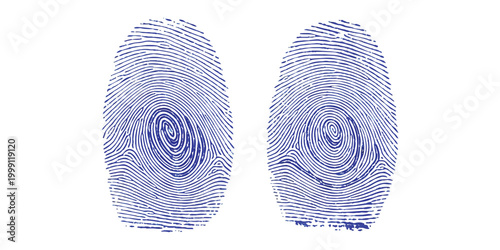 Two detailed blue and black fingerprint patterns for biometric security and digital identity verification concepts