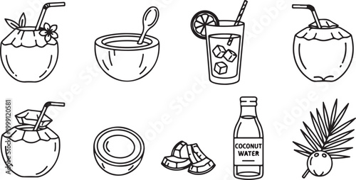 Coconut water collection and plant illustration set Vector