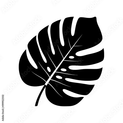 Black and white peacock feather vector illustration featuring a nature inspired bird plume silhouette and quill pen symbol for art design