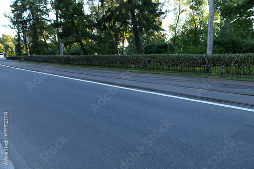 An asphalt city road on the background of a forest park