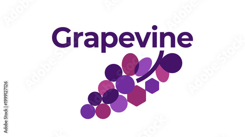 An elegant grapevine logo featuring various grape shapes and colors, symbolizing the essence of quality wine and vineyard branding.