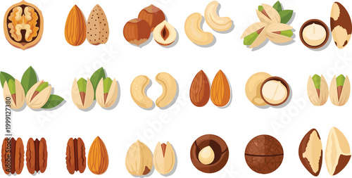 Nut Varieties and Cracked Nuts Illustration Set for Food, Health, and Organic Products Designs