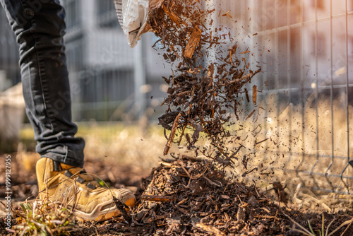Εκτύπωση καμβά A gardener is spreading bark mulch over a new planting of plants