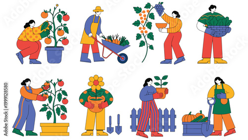 Farmers harvesting vegetables and fruits in garden for healthy food illustration.