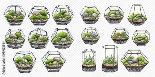 Set of various terrariums with moss, stones, and plants, hand-drawn vector illustration for botanical decoration.