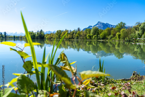 Foto Untersberg und Leopoldskroner Weiher im Frühling