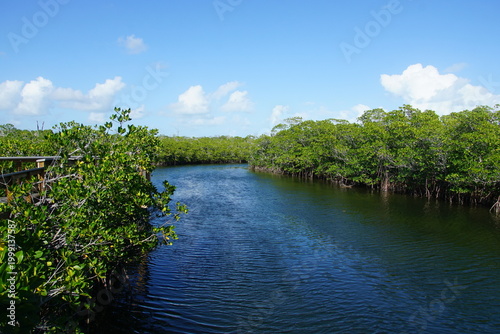 John Pennekamp Coral Reef State Park, nature, beach, key largo, florida, March 2026, mangrove