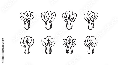 Bok Choy vector illustration in simple line art style for healthy food concepts