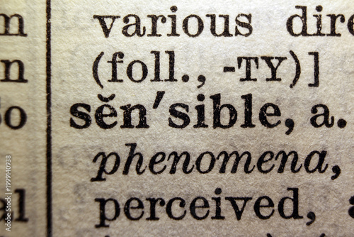 Obraz na płótnie Word sensible on dictionary page, macro close up