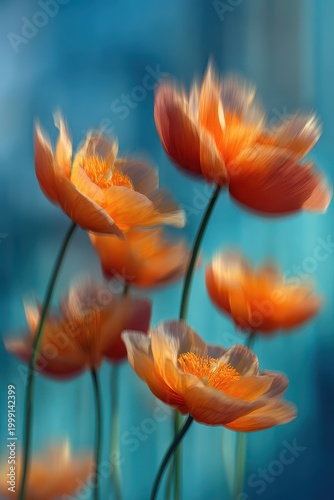 Orange Poppy Flowers Soft Focus Blur Background