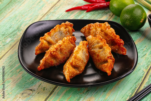 Asian fried stuffed dumplings gyoza