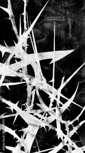 Abstract Black and White Thorn Branches