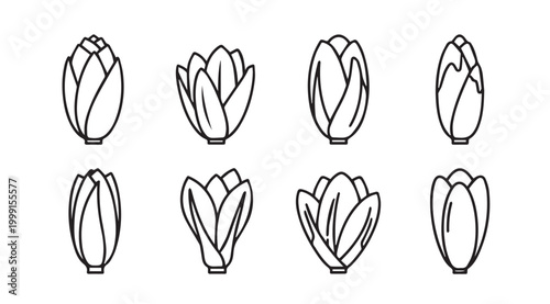 Eight stylized tulip buds in line art against white background