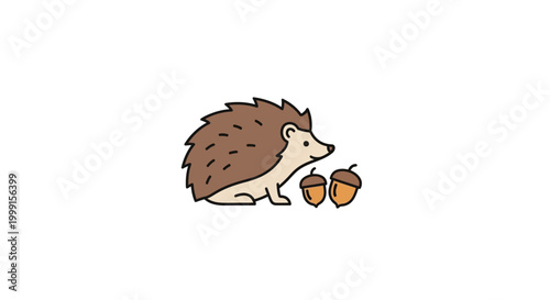 Hedgehog with acorns walking.