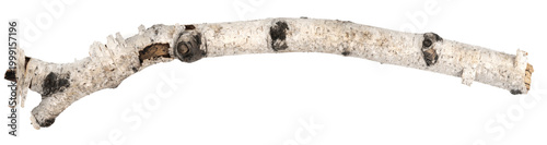 Foto piece of birch driftwood isolated white background