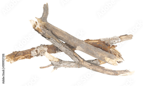 piece of driftwood isolated white background.  piece of a broken tree branch. brushwood. wooden stick
