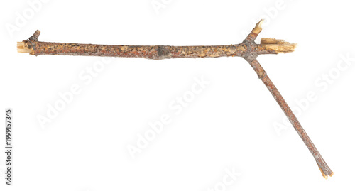 piece of driftwood isolated white background.  piece of a broken tree branch. brushwood. wooden stick