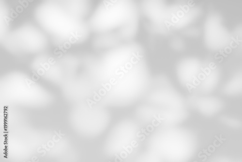 Shadow of leaves tree plant overlay on white wall. Sunlight effect shadow on the wall. Minimal blurred backdrop backgrounds. Summer tropical surface background.