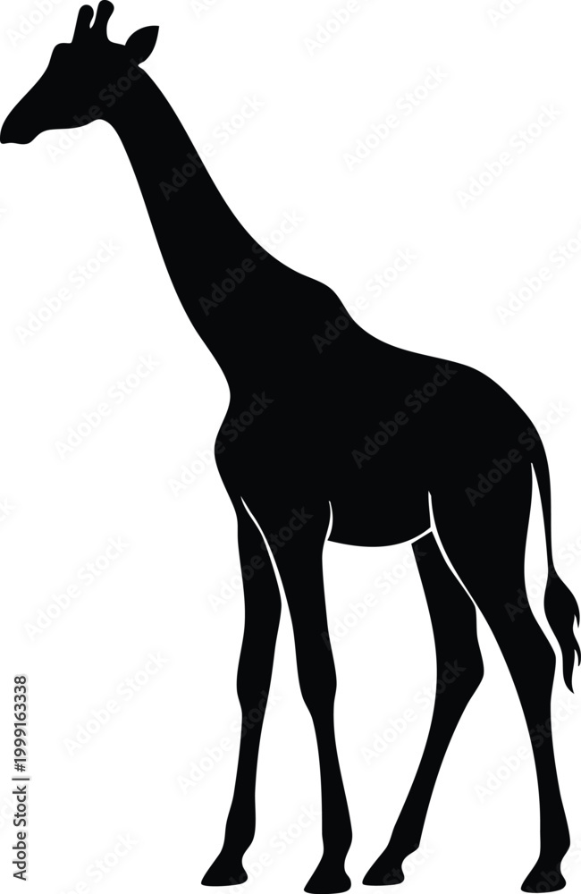 Obraz premium Giraffe Silhouette Vector Set – Wild Animal Black Shapes, Safari Wildlife Illustration Collection