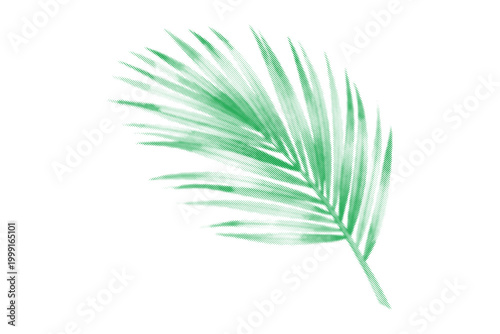 A detailed green halftone palm frond illustration, ideal for summer and tropical graphic designs.