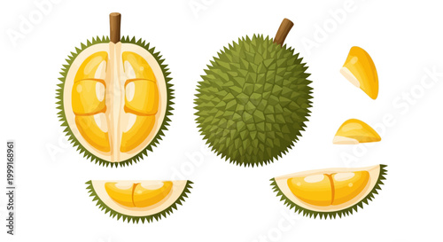 An appetizing vector illustration showcases a sliced Durio fruit next to the whole spiky fruit, presented as a flat lay against a clean white background in a bright, cartoon style